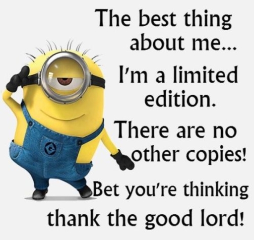 6-4315-1-Funny-Minion-Quotes-Of-The-Day-267